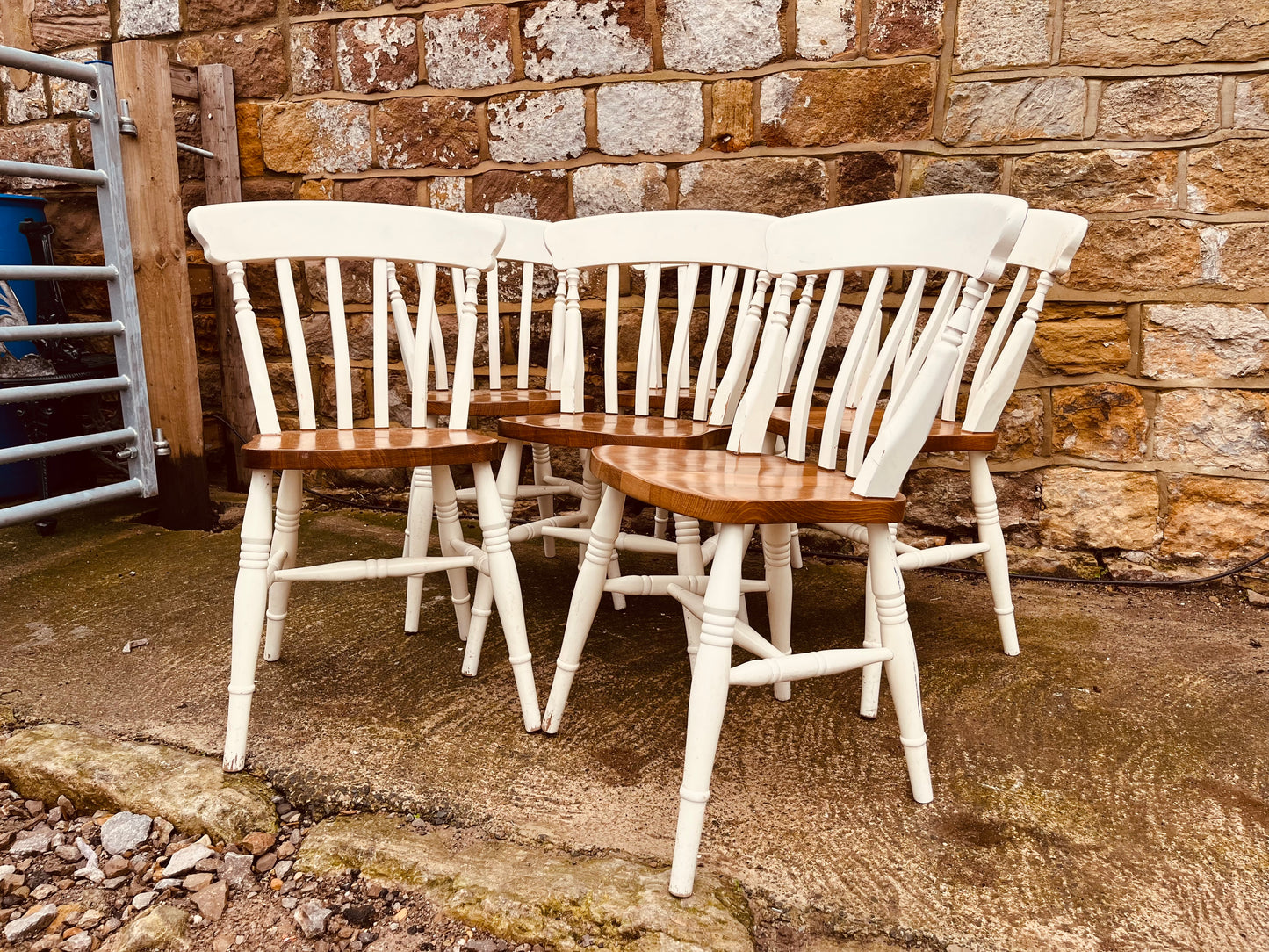 Set of 6 Painted Windsor Dining Chairs with Solid Wood Seats
